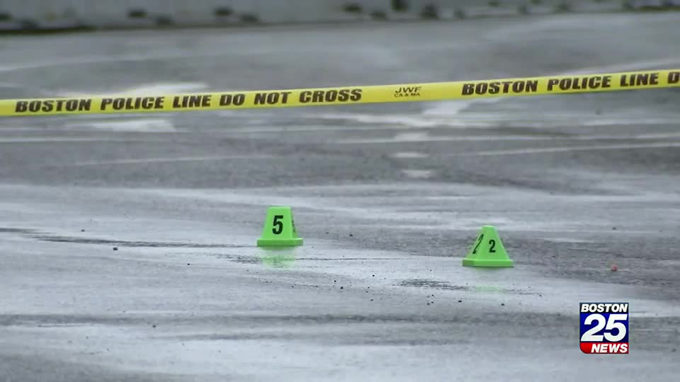 Police Vehicle of interest located after deadly pedestrian crash in