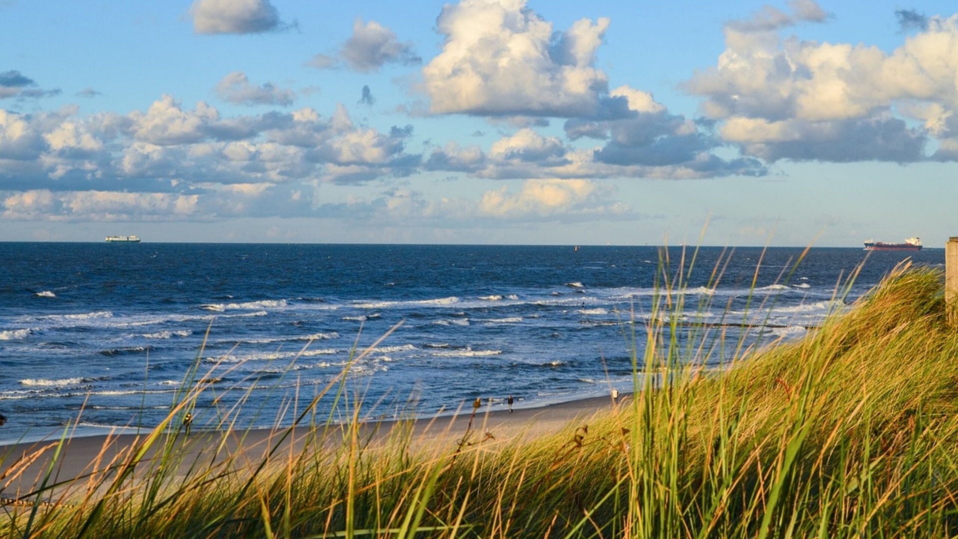 World War II bomb found on Florida beach, prompting controlled detonation