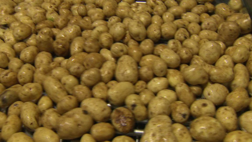 Fire at potato plant prompts evacuations, poses explosion risk in