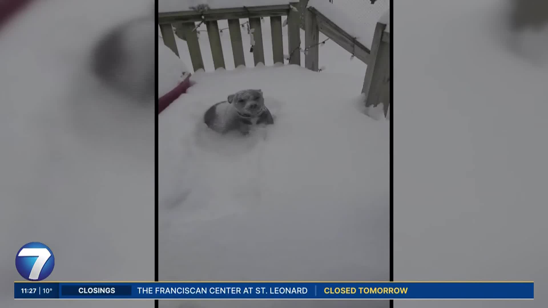 Winter Weather: Dogs have fun in the snow, drone captures views from above  – WHIO TV 7 and WHIO Radio