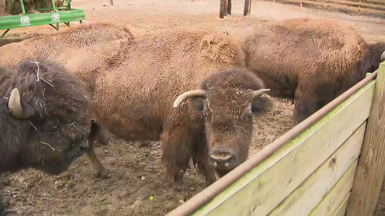 ADDYS LAW: Georgia bill would require school districts to change