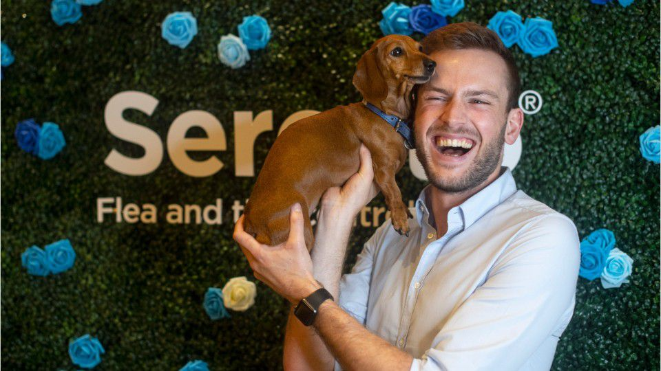 EPA receives thousands of complaints about pet deaths, human injuries