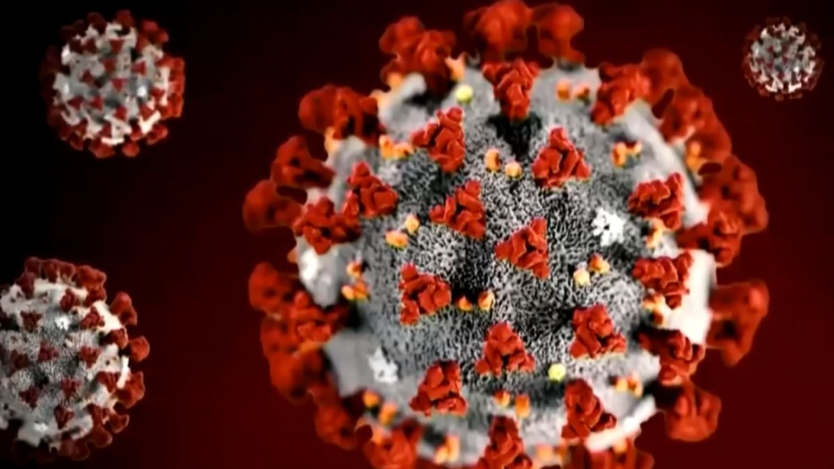 LIVE UPDATES: Allegheny Co. to announce first coronavirus cases, UPMC develops new test - WPXI Pittsburgh thumbnail