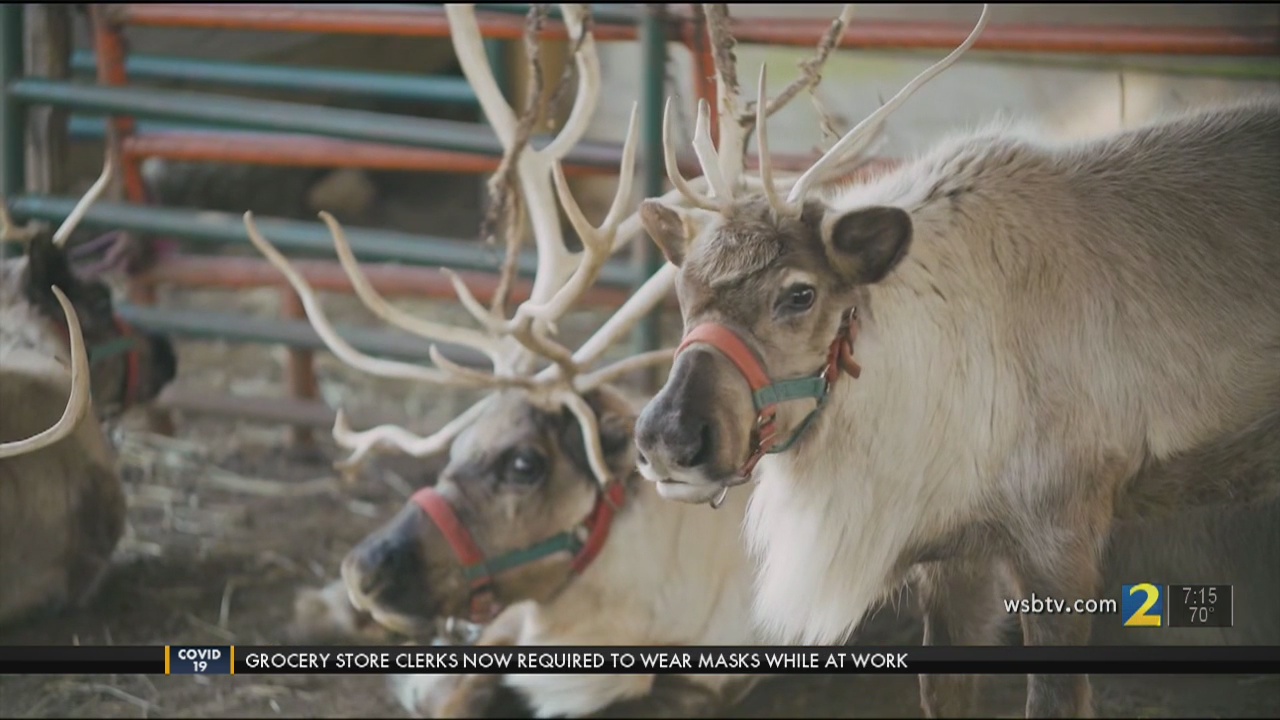 Cartersville Farm allows visitors to do drivethru, feed animals WSB