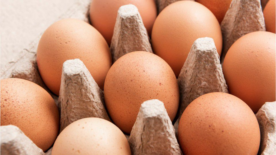 Boy sells eggs to buy horse WPXI