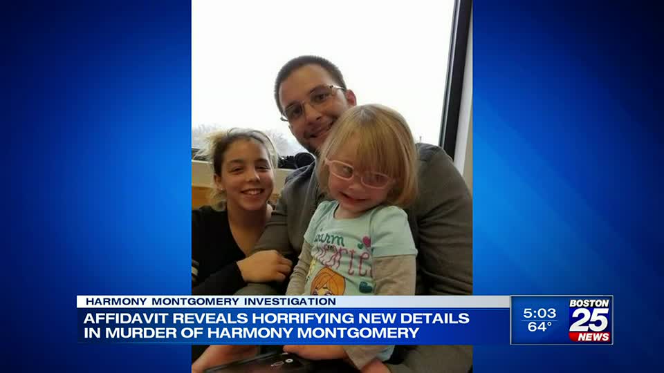 I really hurt her': Affidavit reveals horrifying new details in 