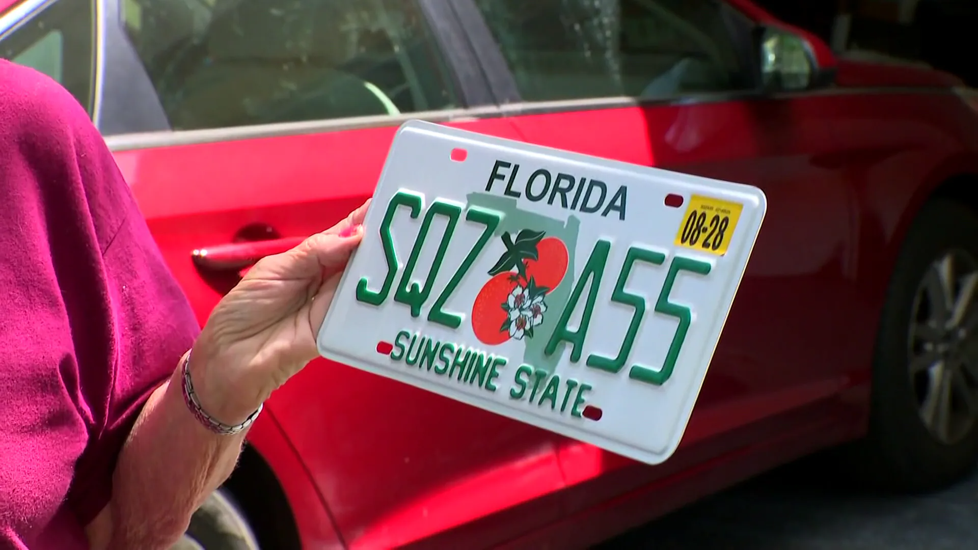 ナンバー912 Florida woman gets 'SQZ A55' license plate number - WFTV