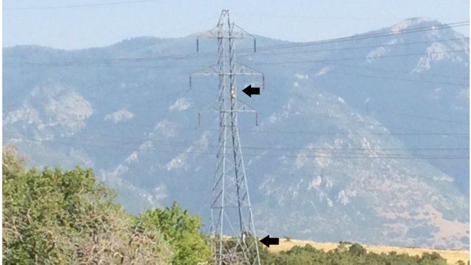 Utah sheriff warns against hanging hammocks on power lines – KIRO 7 News Seattle