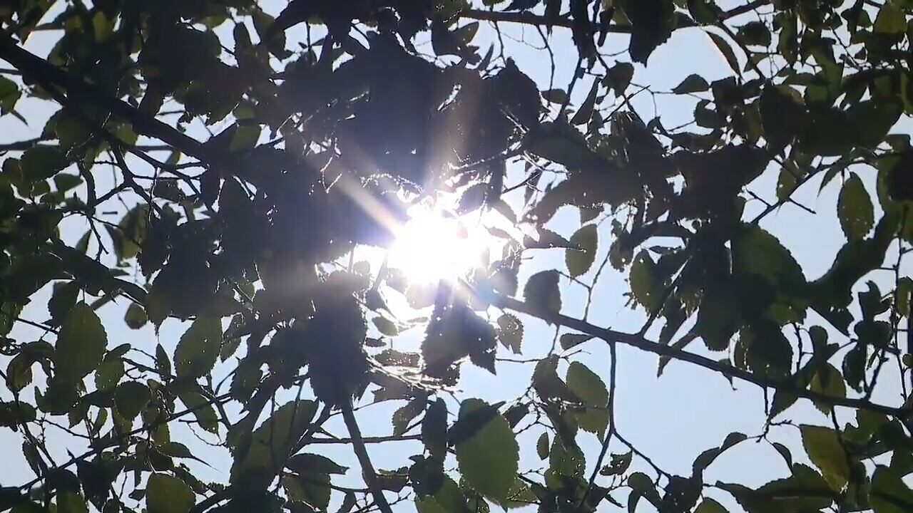 Heat advisory remains in effect across Georgia as doctors say urine color is a quick dehydration warning sign; Dr. Sujatha Reddy urges hydration, hydration, hydration