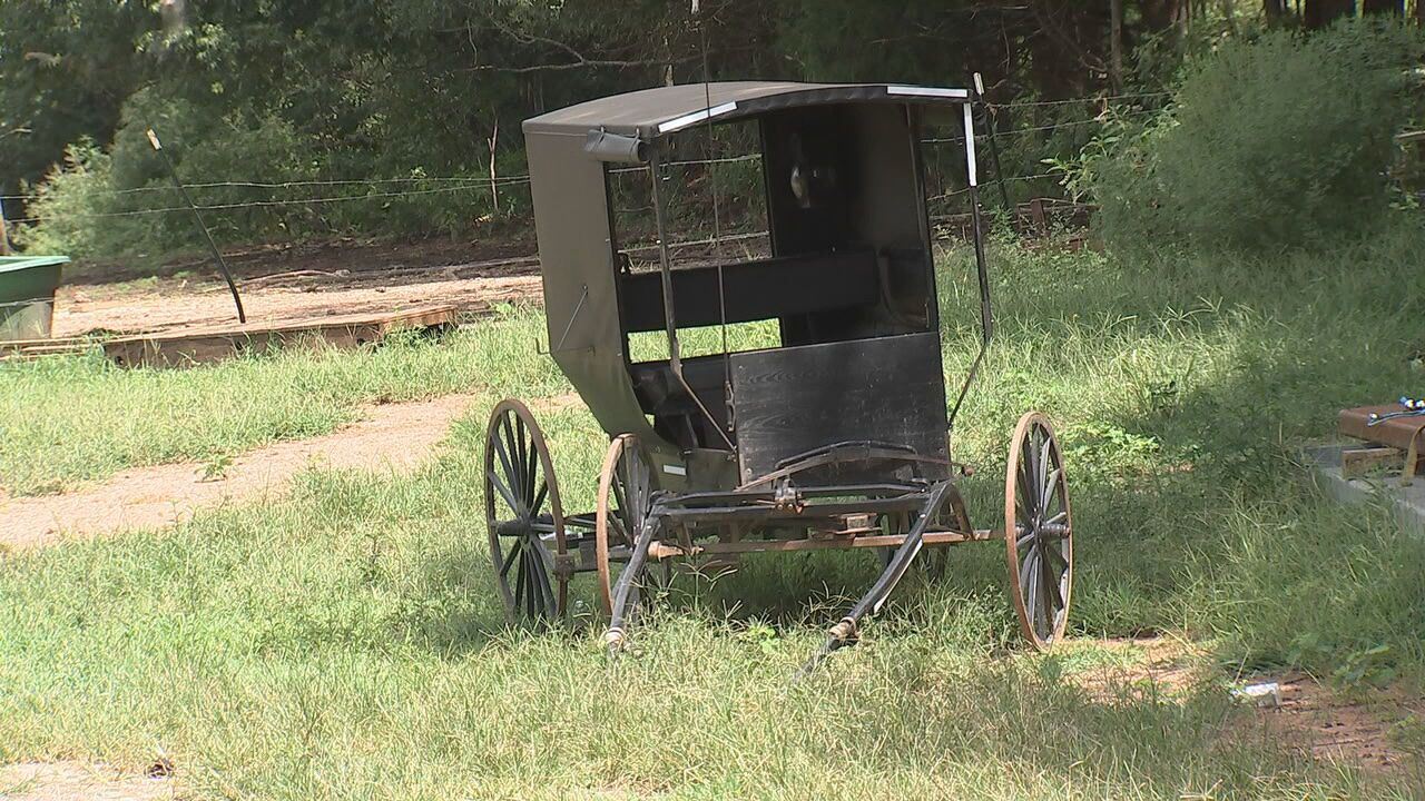 Amish family members hurt after horse-drawn buggy flips &ndash; WSOC TV