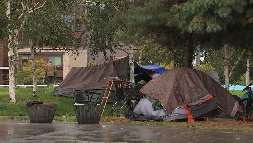 Growing Seattle homeless encampments bring new problems, mounting frustration – KIRO 7 News Seattle
