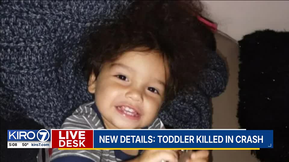 19-year-old charged with vehicular homicide after Maple Valley