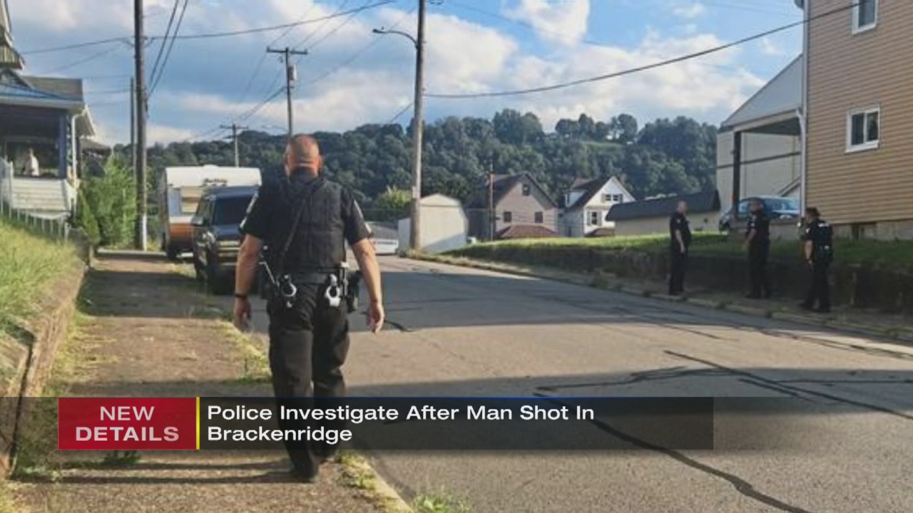 Police investigating shooting in Brackenridge WPXI