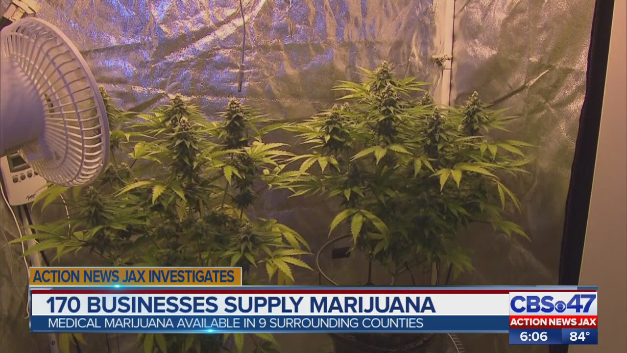 Dispensaries grow with marijuana industry in Northeast Florida