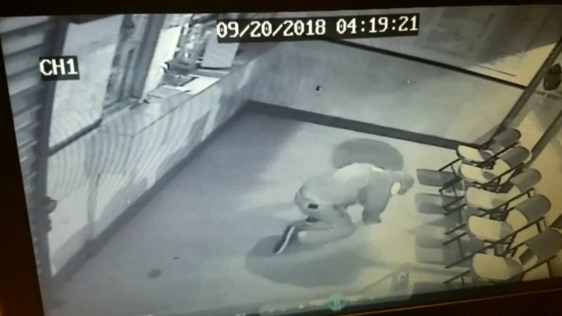 Thief throws brick at window, knocks himself out