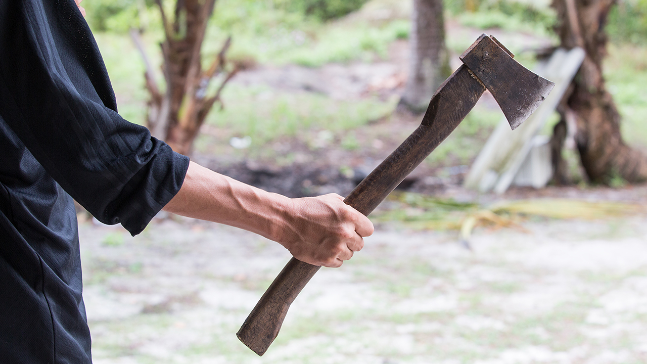 Man knocks self out throwing ax at moving train