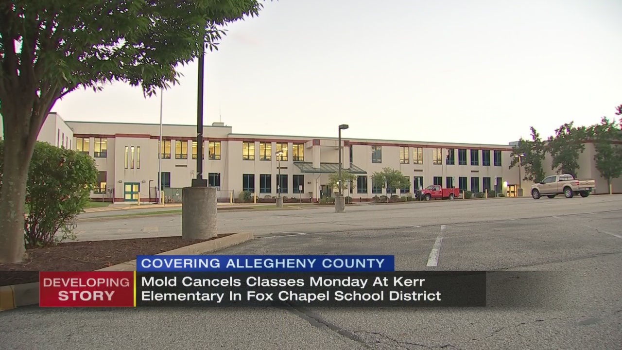 Fox Chapel closes school for rest of week due to mold