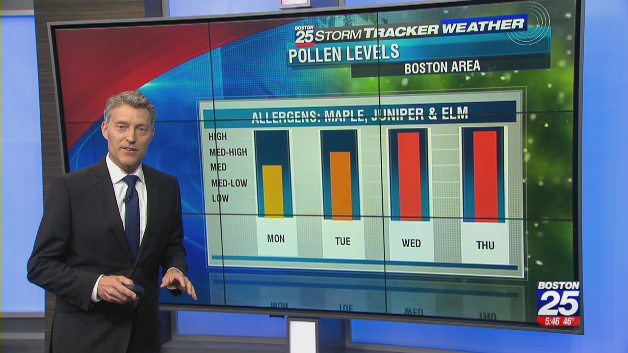 Tough week ahead for local allergy sufferers Boston 25 News