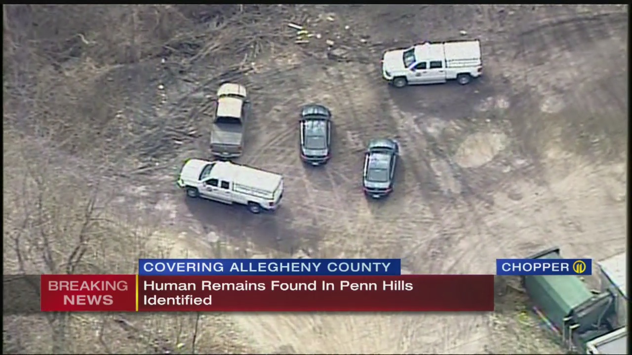 Skeletal remains found in wooded area identified