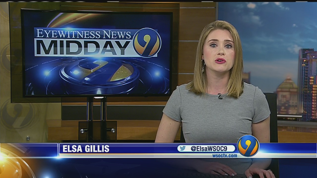 Florida power company wants to buy South Carolinaowned utility