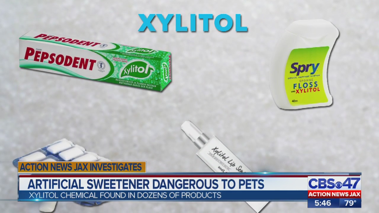 How Much Xylitol Does It Take To Kill A Dog