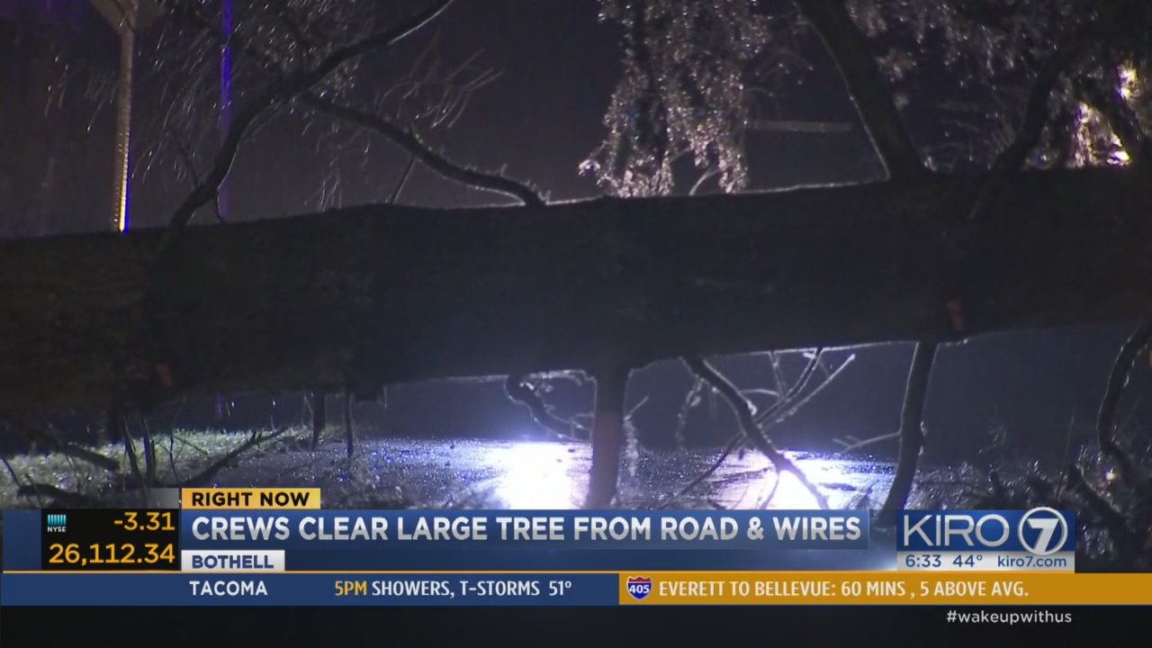 Tree falls on power line cobb emc