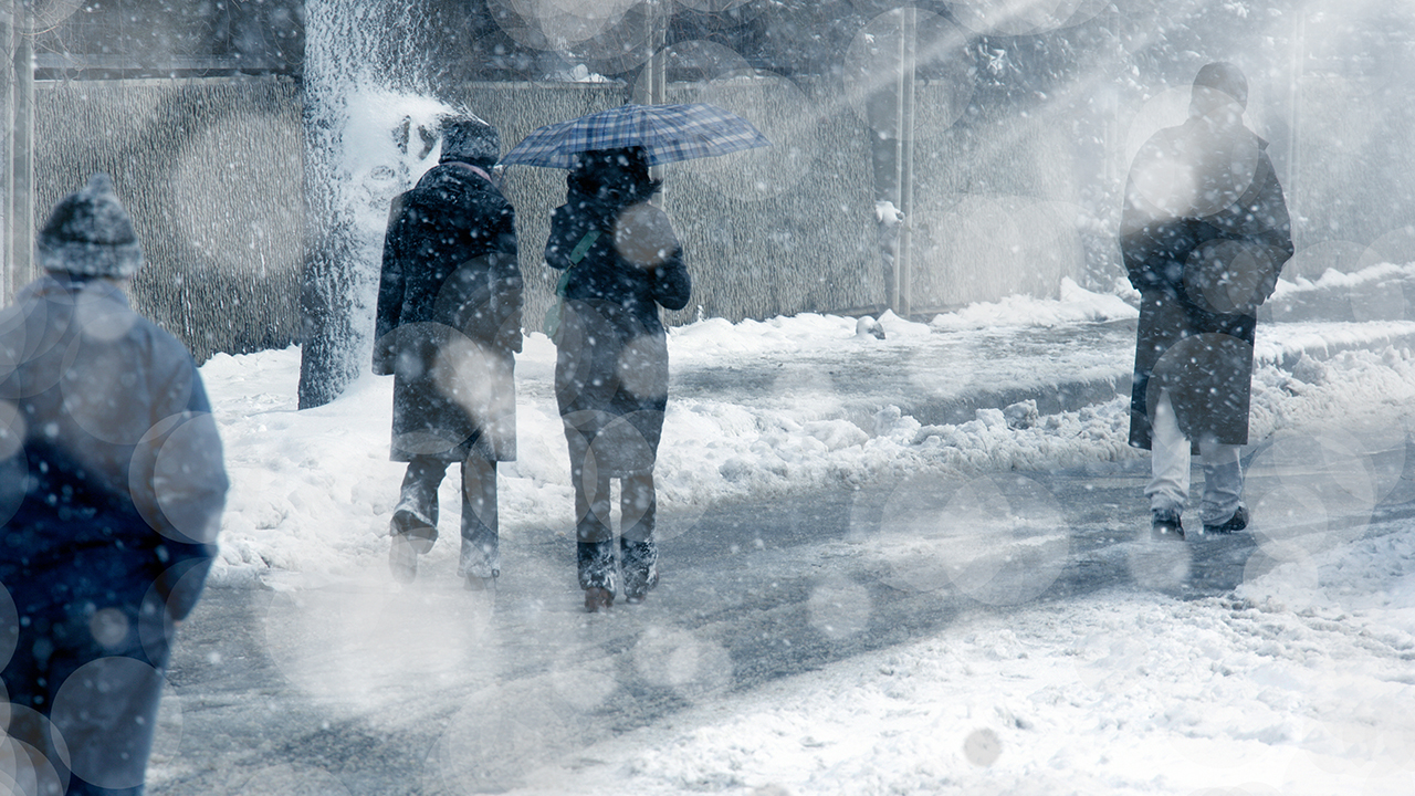 Man freezes to death hiding after crash, deputies say WPXI