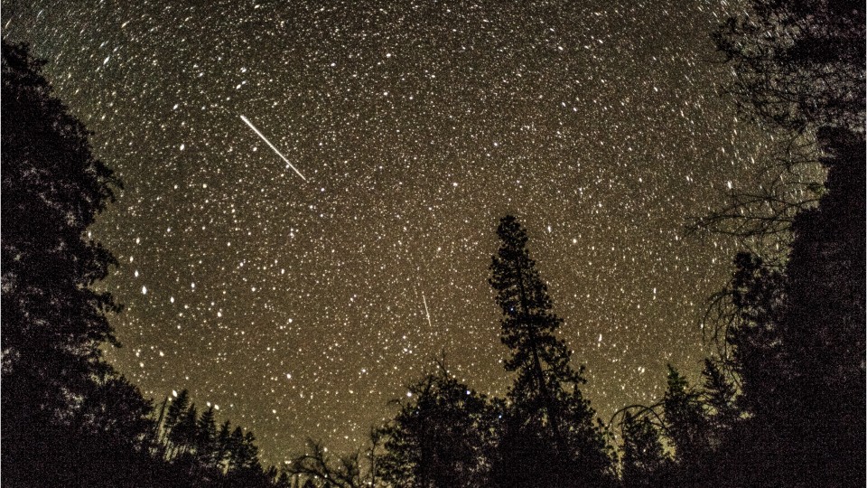 2019 Leonid meteor shower visible this weekend