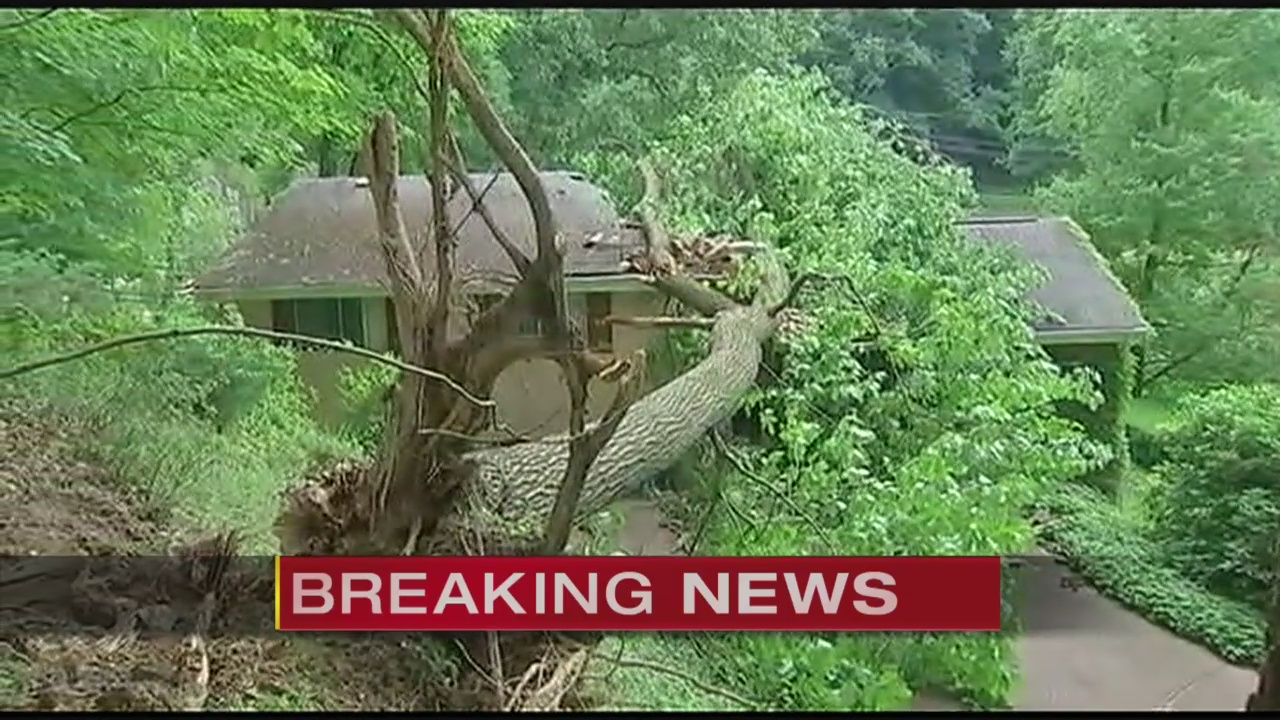 Tree falls on Ross Township home causing significant damage