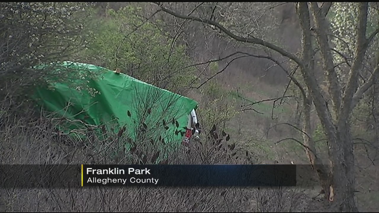 Man killed in crash on I79 in Franklin Park WPXI