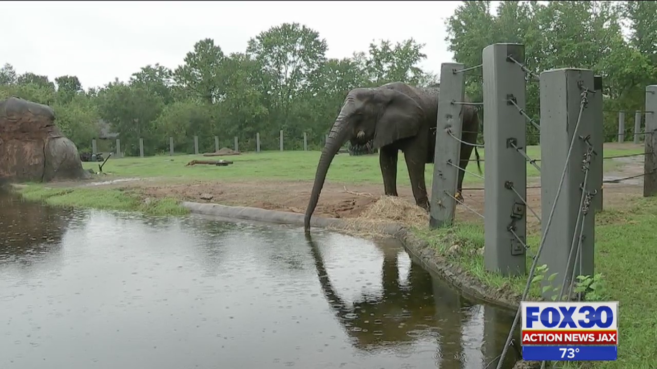Jacksonville Zoo and Gardens prepares for hurricane season