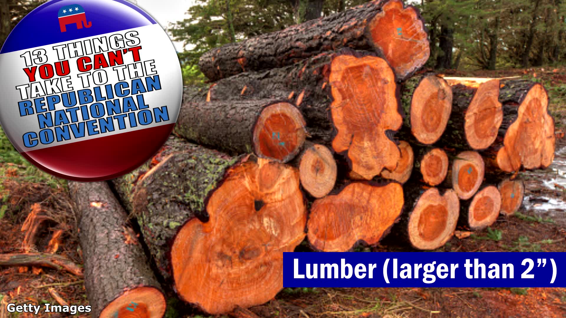 Women pose nude to send a message to the Republican convention