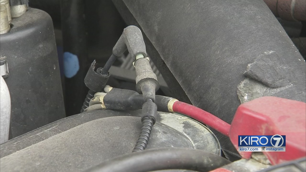 'Green' wiring attracts rodents to chew up cars