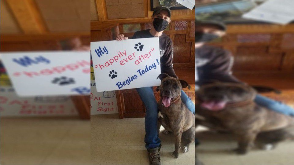 Dog adopted after spending 842 days at Ohio animal shelter 102.3 WBAB
