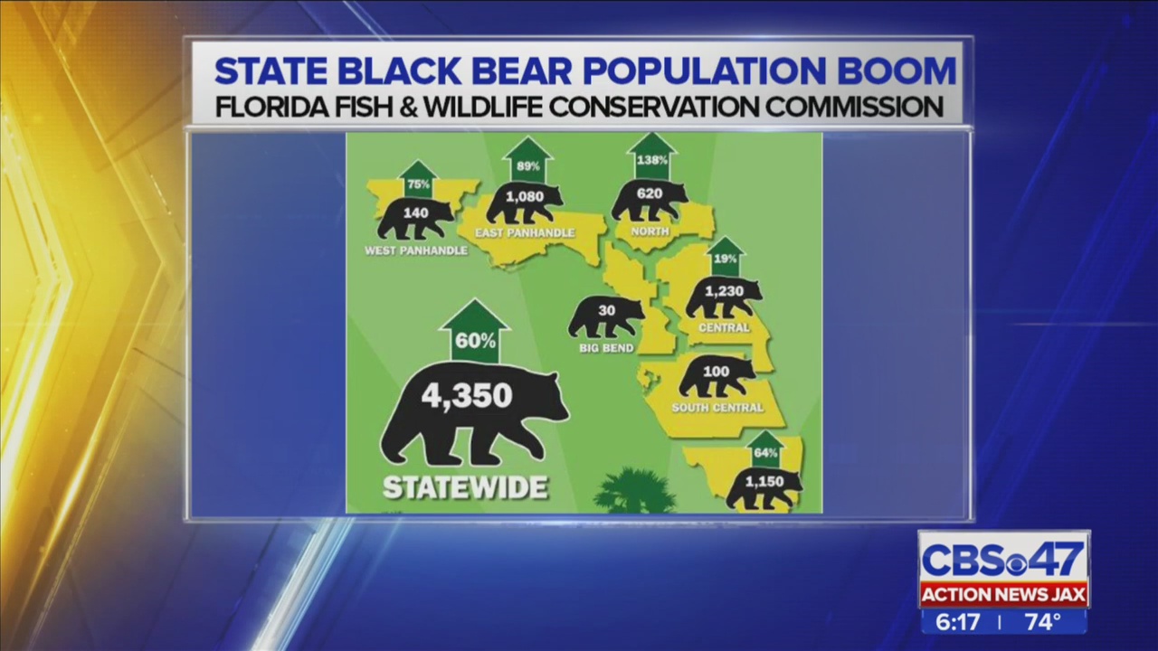 Florida 39 s black bear population - T 88fdf4509cf944d985bc230a00146baf Name F5EED23F85F14988924F6CDE4EDCC51F