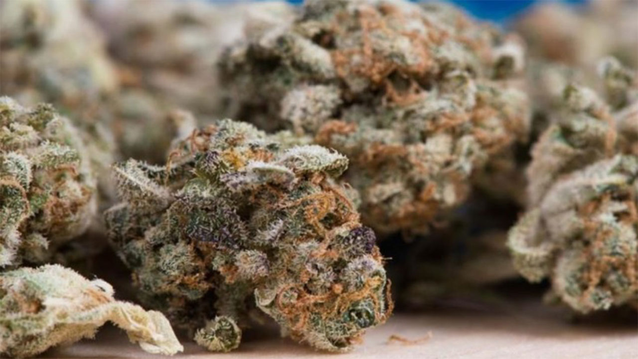 Marijuana breath test could help police fight drugged driving