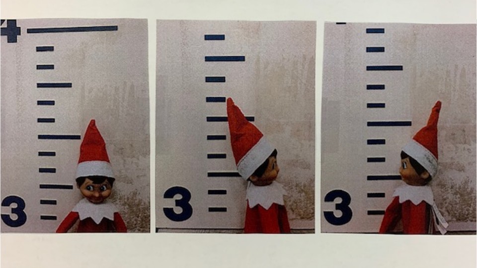 Arrested Police nab Elves on the Shelves