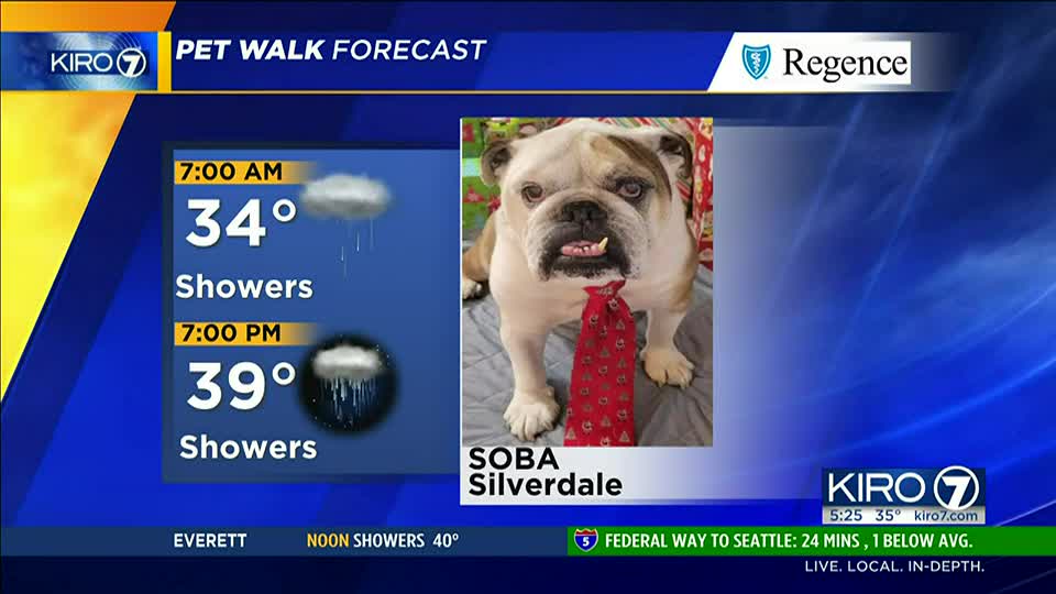 Kiro 7 Pet Walk Forecast Kiro 7 News Seattle