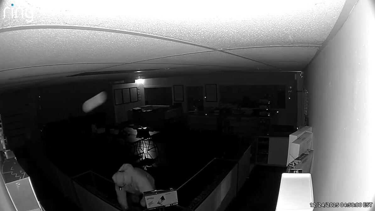 Suspect steals over 100K worth of items from Carrollton trading card shop, owner says